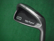 PRGR NEW egg FORGED アイアン