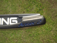 Anser 2