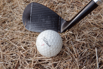 EMILLID BAHAMA EB-77 WEDGE アプローチ　操作性