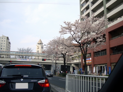 イメージ 2