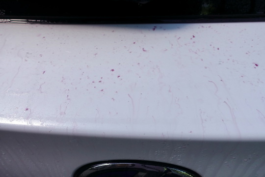 f:id:golfgti05:20190817122055j:plain