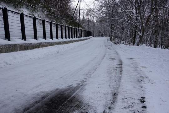 f:id:golfgti05:20200306095810j:plain