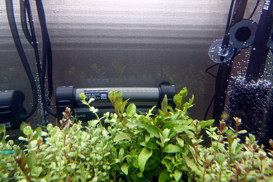 f:id:golfgti05:20201010173634j:plain