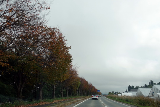 f:id:golfgti05:20201018202832j:plain