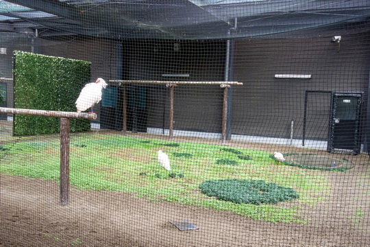 f:id:golfgti05:20201205202105j:plain