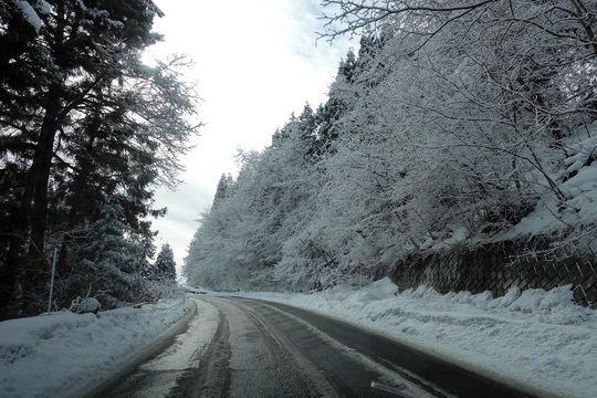 f:id:golfgti05:20210117183245j:plain