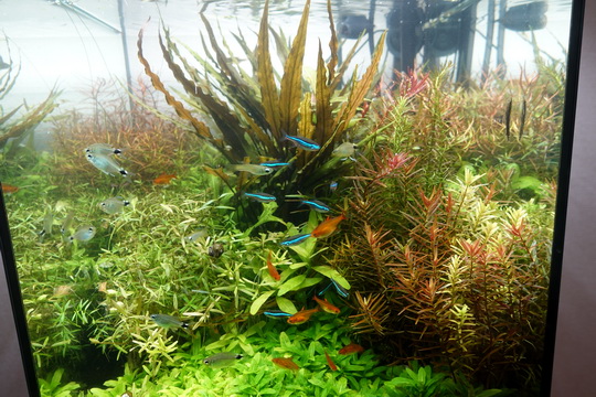 f:id:golfgti05:20210130172010j:plain