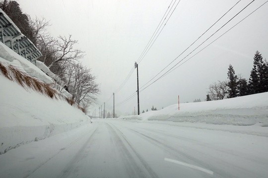 f:id:golfgti05:20210130172028j:plain