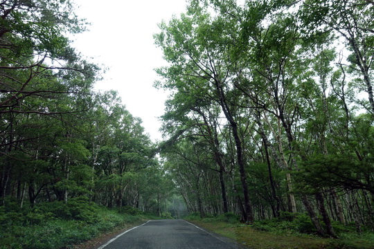 f:id:golfgti05:20210808223709j:plain