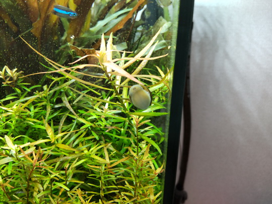 f:id:golfgti05:20220114182925j:plain