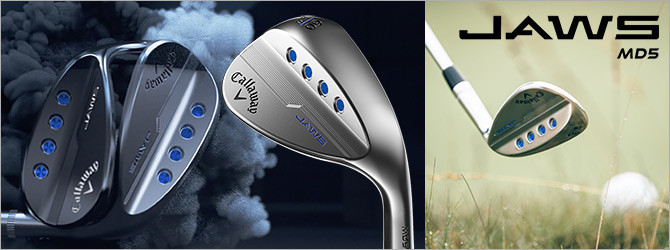 f:id:golfnut:20190912232115j:plain