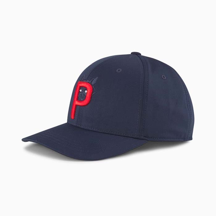 f:id:golfnut:20210629062305j:plain