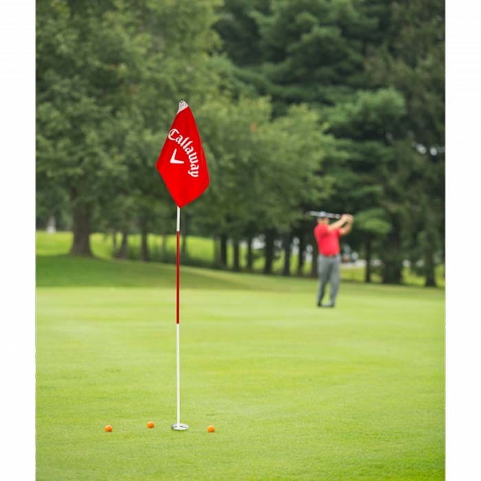 f:id:golfnut:20210629072357j:plain