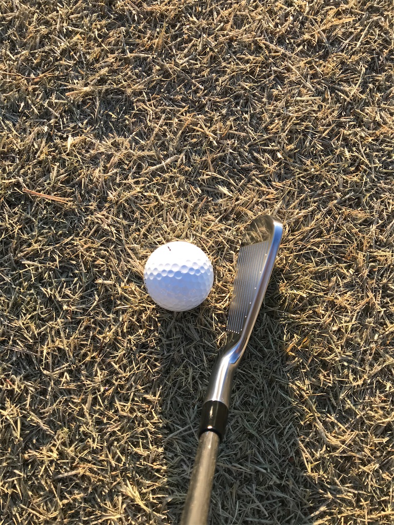 ミズノプロ225アイアンプロジェクトXLZ試打評価 - Golf Powers 試打 ...