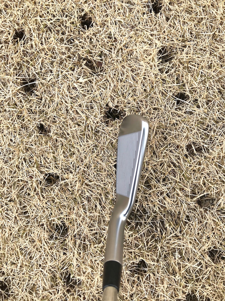 f:id:golfpowers:20240311125014j:image