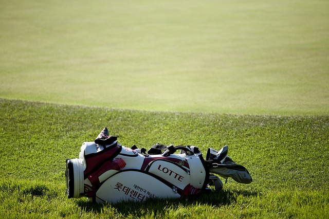 f:id:golfu:20190630195145p:plain f:id:golfu:20190630195145p:plain