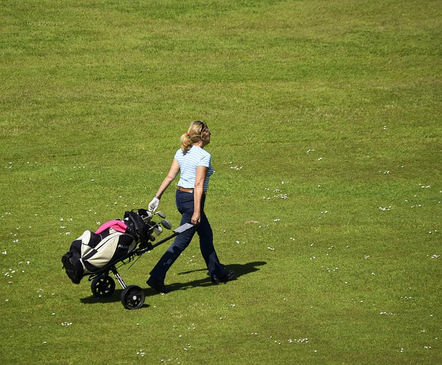 f:id:golfu:20190630202548p:plain f:id:golfu:20190630202548p:plain