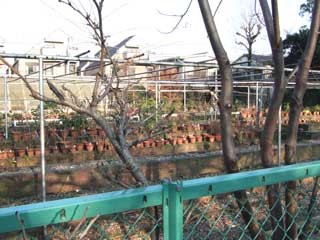 f:id:golgo139:20061229005209j:image f:id:golgo139:20061229005209j:image