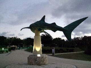 f:id:golgo139:20071228055330j:image