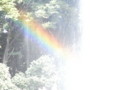 20100905154706