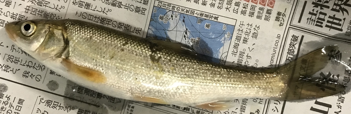 f:id:golgo8128:20210710114930j:plain