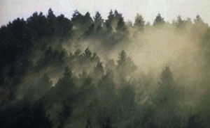 f:id:golgonzora13:20110310105227j:image:right