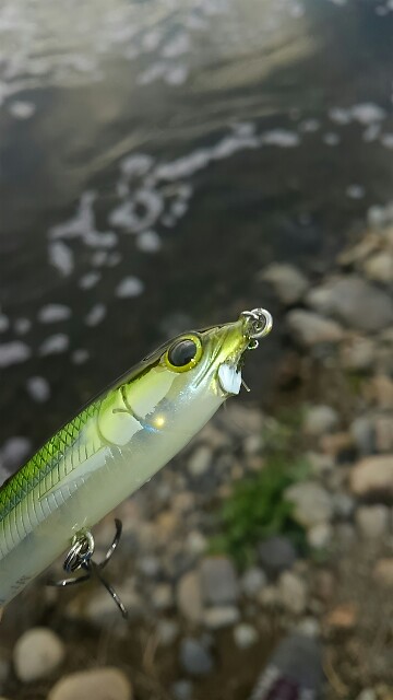 f:id:golomon:20180211230036j:image
