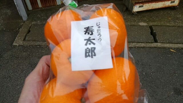 f:id:golomon:20180325151822j:image