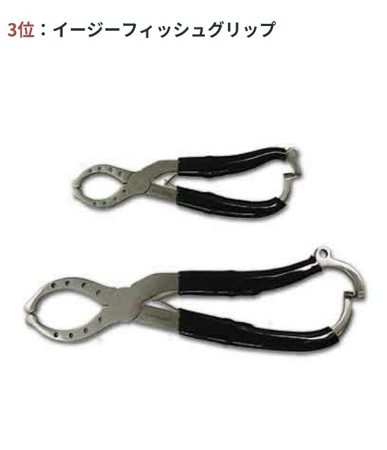 f:id:golomon:20180428124513j:image