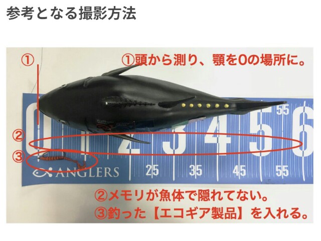 f:id:golomon:20180519121334j:image