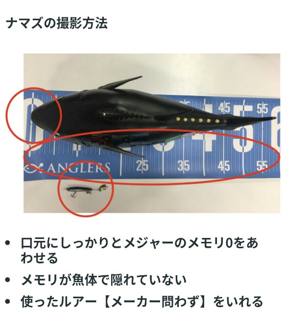 f:id:golomon:20180531205313j:image