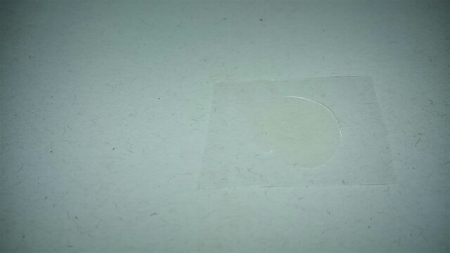 f:id:golomon:20181207211107j:image f:id:golomon:20181207211107j:image