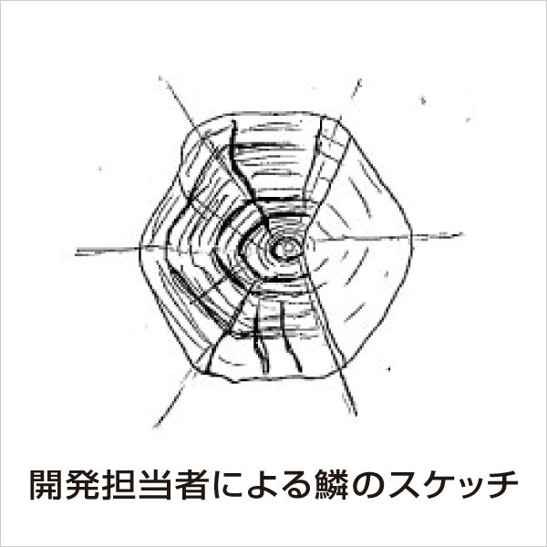 f:id:golomon:20181219221455j:image