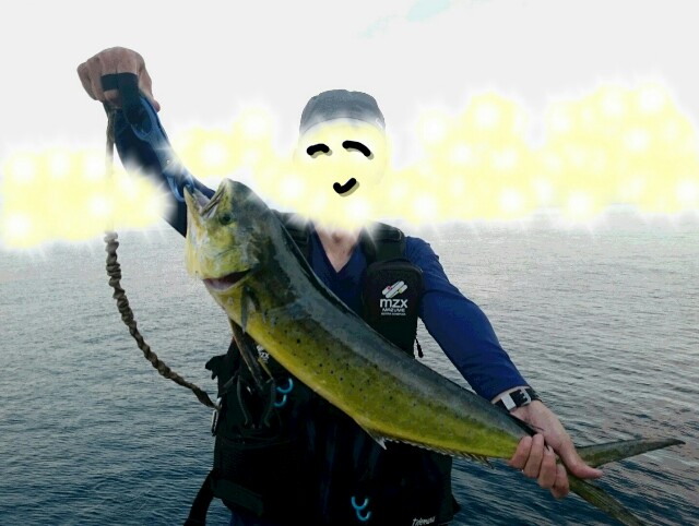 f:id:golomon:20181230212250j:image