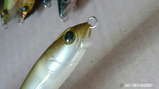 f:id:golomon:20190127143907j:image f:id:golomon:20190127143907j:image