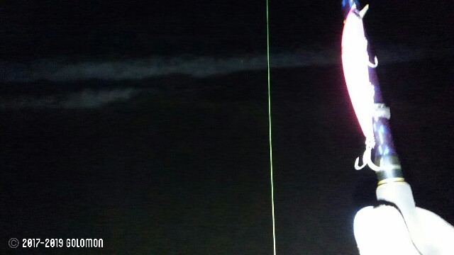 f:id:golomon:20190203222455j:image