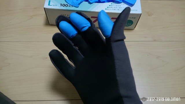 f:id:golomon:20190212185014j:image