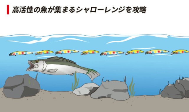 f:id:golomon:20190222214656j:image