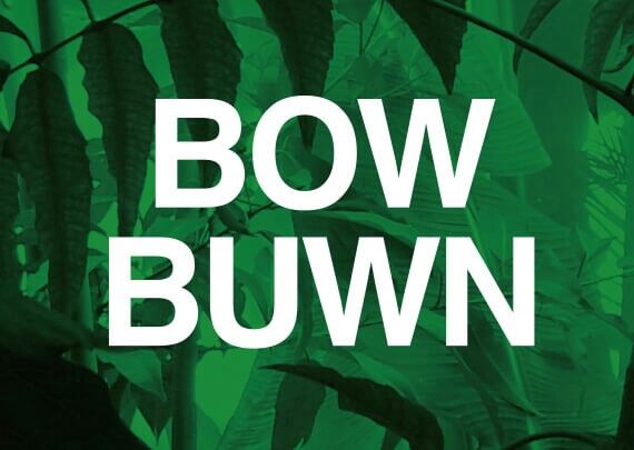 f:id:golomon:20190409180509j:image f:id:golomon:20190409180509j:image