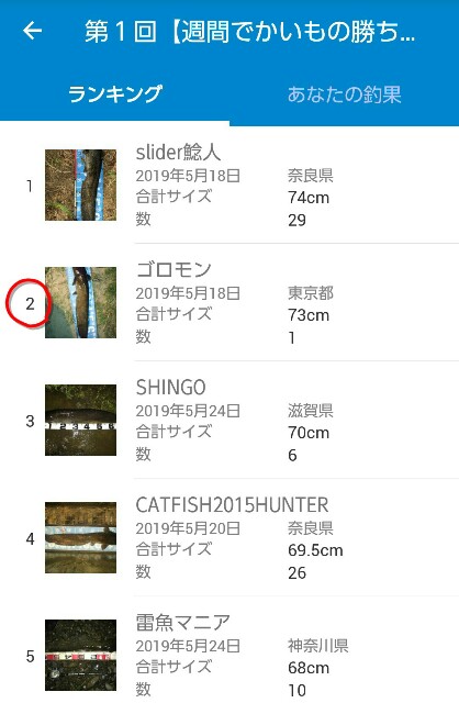 f:id:golomon:20190601001200j:image