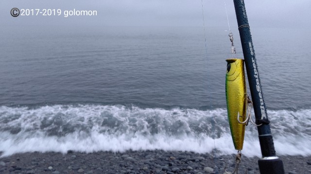 f:id:golomon:20190715115842j:image
