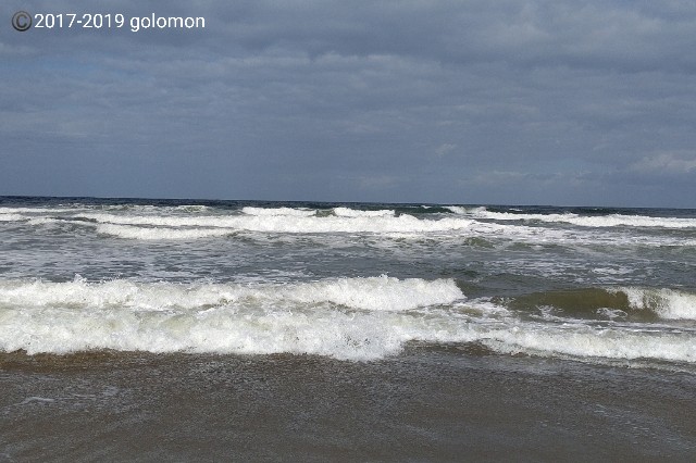 f:id:golomon:20190916161533j:image