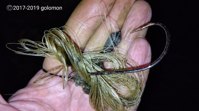 f:id:golomon:20190929140101j:image