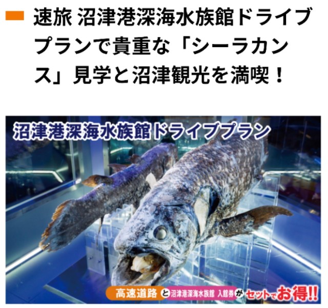 f:id:golomon:20191006121235j:image