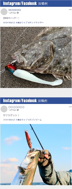 f:id:golomon:20191013164810j:image