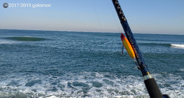 f:id:golomon:20191215121005j:image