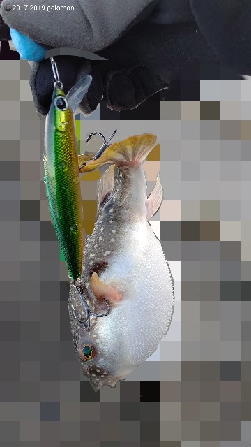 f:id:golomon:20191215121100j:image