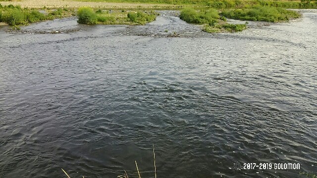 f:id:golomon:20200201211643j:image