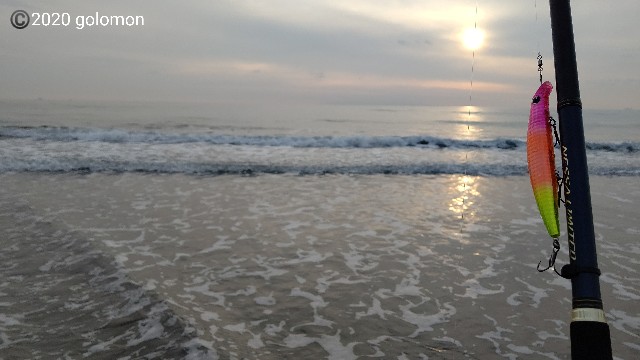 f:id:golomon:20200216120608j:image
