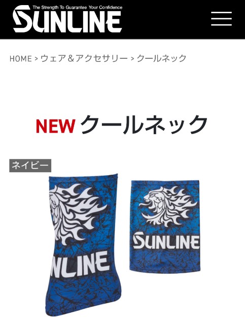 f:id:golomon:20200426124907j:image